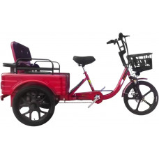 Triciclo para Adultos Y Ancianos Triciclo para Adultos Y Ancianos